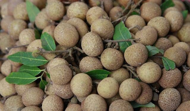 葡萄干|女生最好的“胶原蛋白”,经常端上饭桌,淡化细纹,彰显女性魅力