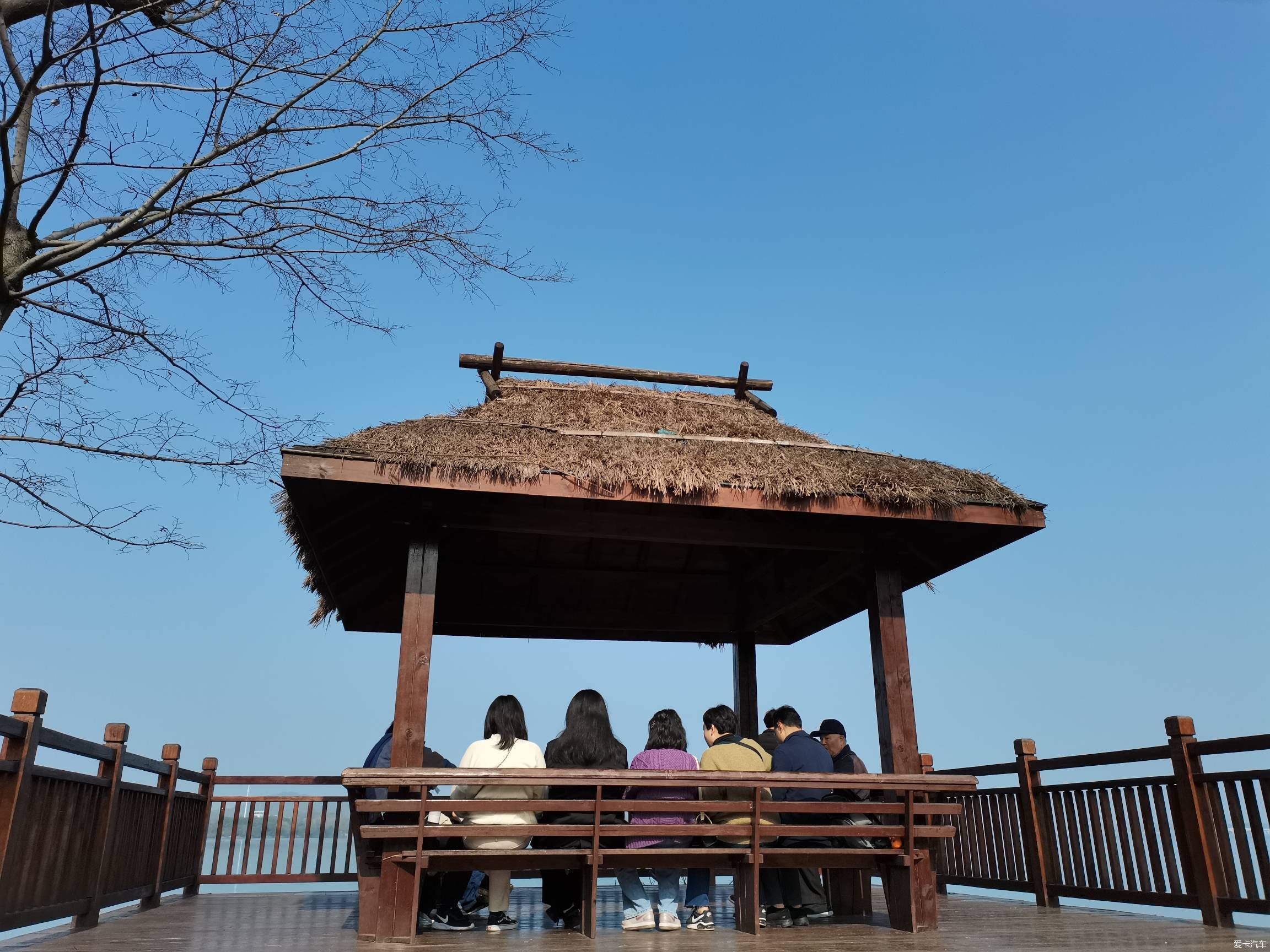 情人节逛森林公园