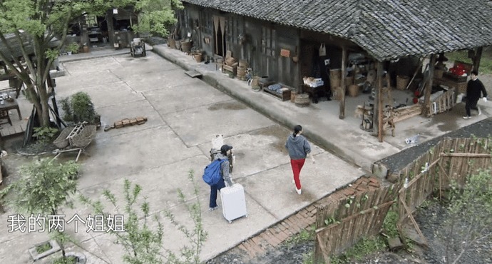 箱子|那英成《向往》最爱摆谱嘉宾,一到就怪罪人,黄磊何炅都招架不住