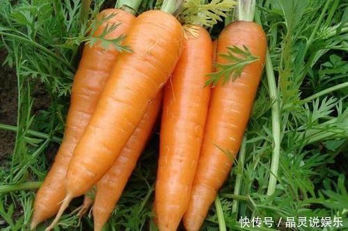 常吃胡萝卜好处多,但有两点很重要,不然吃还