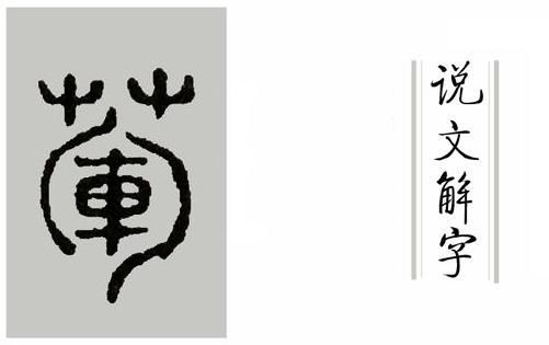 神仙教|为什么“荤”是草字头呢？