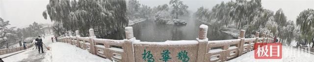 新闻记者|近10年最早初雪光临济南，市民赞雪中大明湖“宛如仙境”