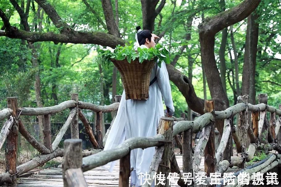 虱子#东晋一道士修仙,写本书流传千年,翻开一看:竟记载诺贝尔奖成果