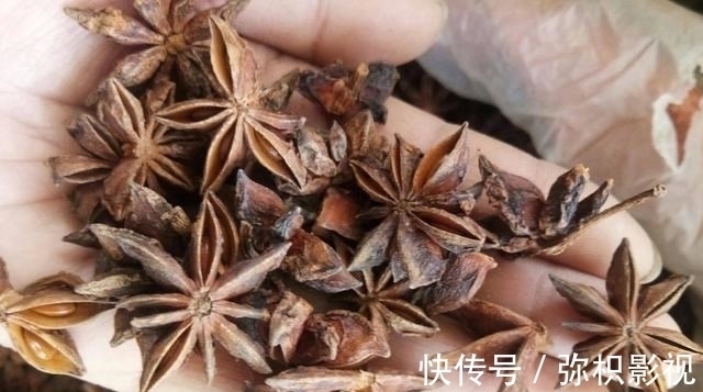 炖羊肉，牢记“3放3不放”，羊肉软烂入味，关键还不膻不柴