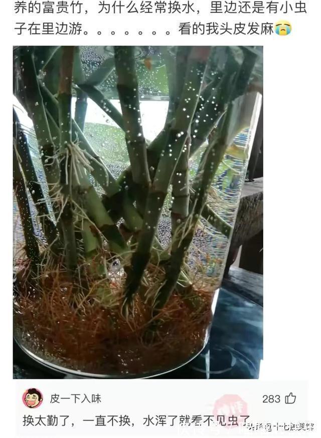 |搞笑合集：媳妇出差在酒店给我发的照片，桌子上那是胶水吗？