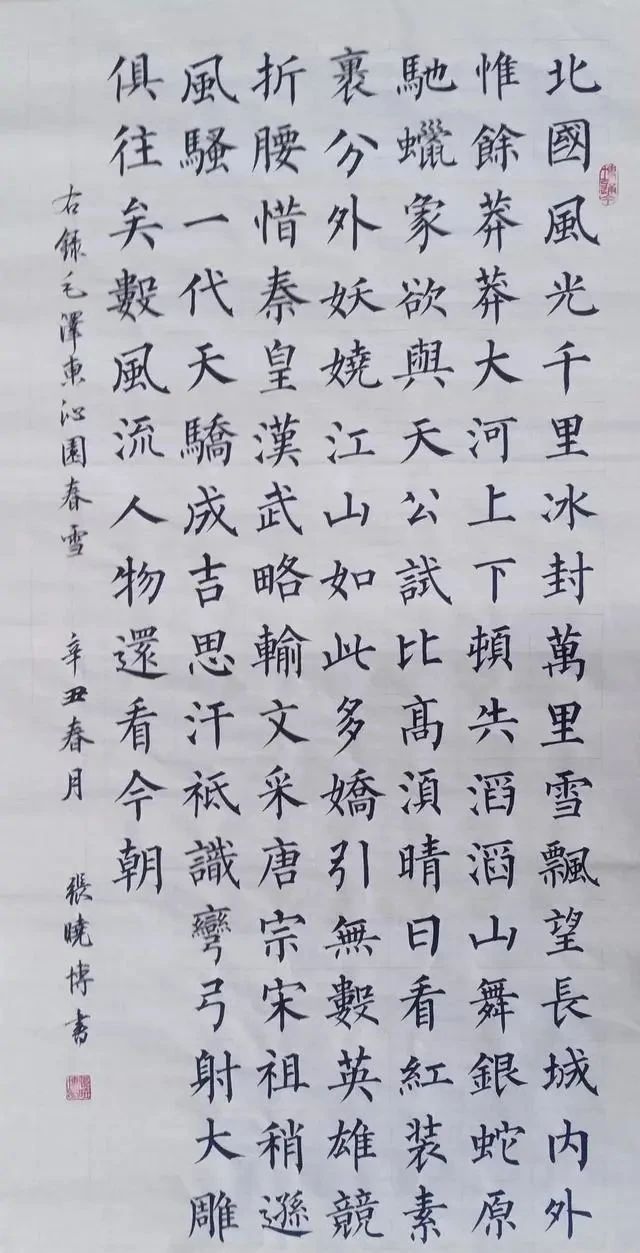 筋骨|自古英雄出少年!11岁张晓博秀柳楷,筋骨尽显,瘦硬通神,佩服