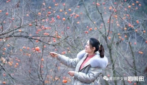 又见福建古村那一抹柿子红，你怎能错过？