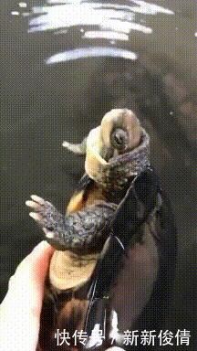 男生|“什么身高的男生最受欢迎?160以下没有姓名?”哈哈哈哈哈哈