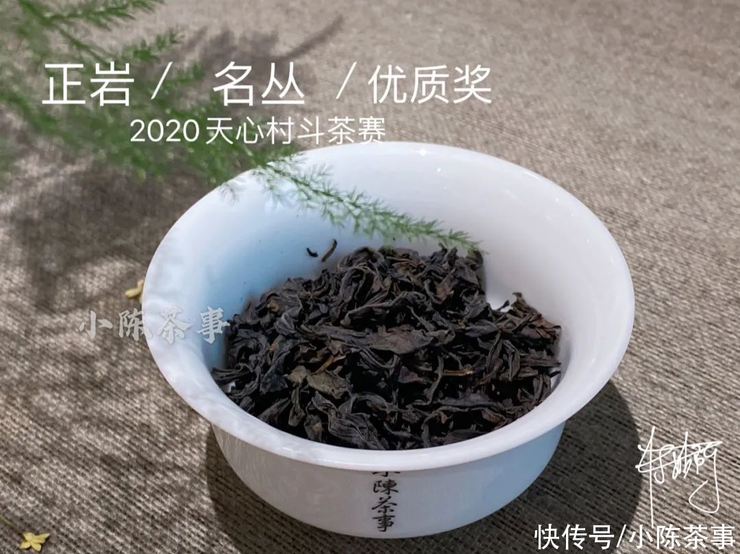  岩茶|一口气喝到正岩茶村的名丛金、银、优质获奖茶，是什么样的体验？