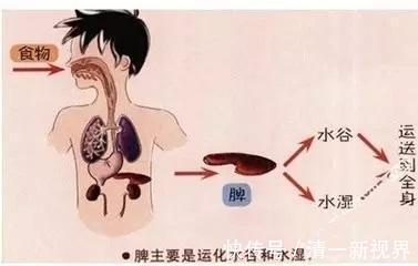 温脾阳|湿气的“七寸”在哪里你抓对了吗湿重，少做3事，贵在坚持