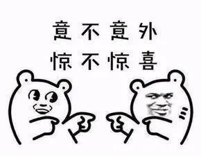 NO|NO.344 酒界吉尼斯世界记录,第四个也太萌了吧~