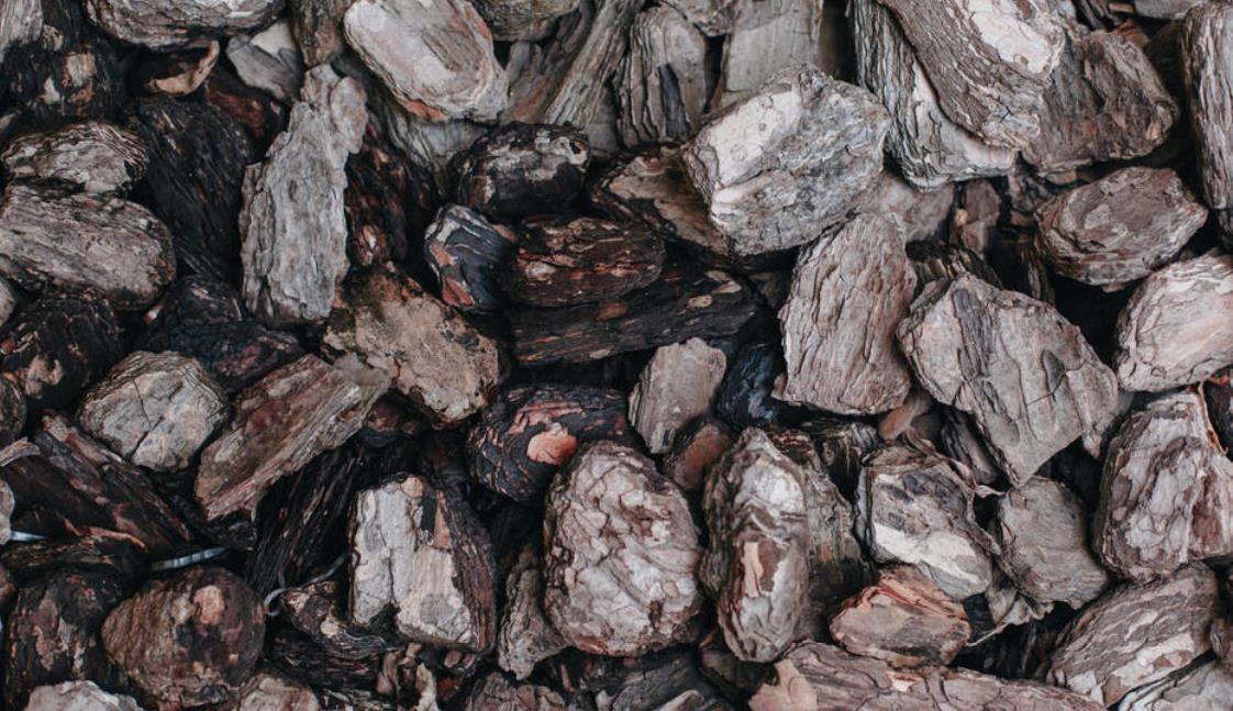 兰花上盆前有“三洗”,老手熟门熟路,新手听着有点懵