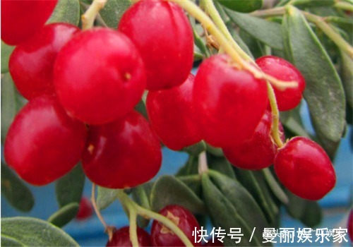 毒素|女性要排毒，离不开4种食物，排出毒素，养胃健脾，滋养女性子宫