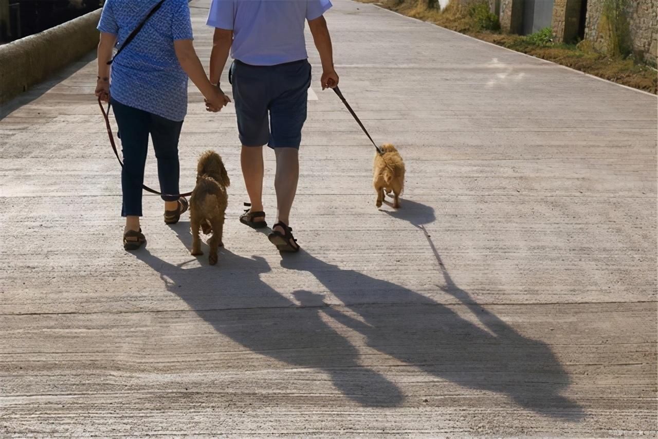 运动|走路的好处这么多!3个小技巧让效果翻倍