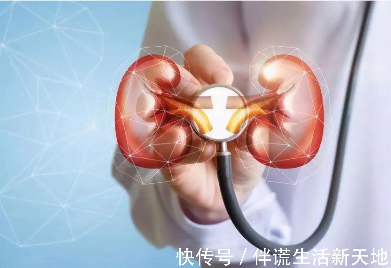 山药|38岁男子查出高血压，半年后肾衰离世，医生：这3件事是“催命符”