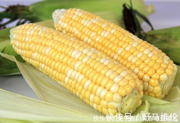 玉米|保存玉米时,不能直接冷冻,大厨教你方法,放1年不坏,鲜甜软嫩