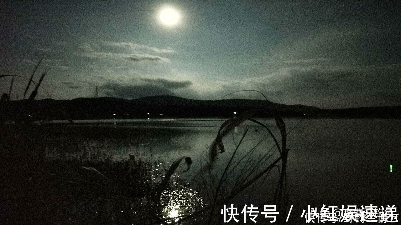 钓鱼|3段亲身经历，提醒钓友们，不要一人独自夜钓
