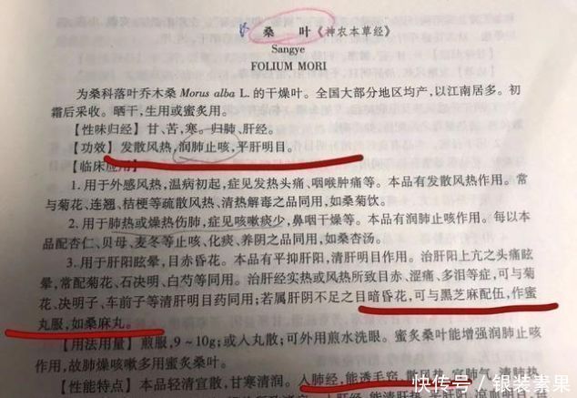 肝火|一味桑叶补骨髓，止盗汗，清肝明目润肺止咳就看你会不会用