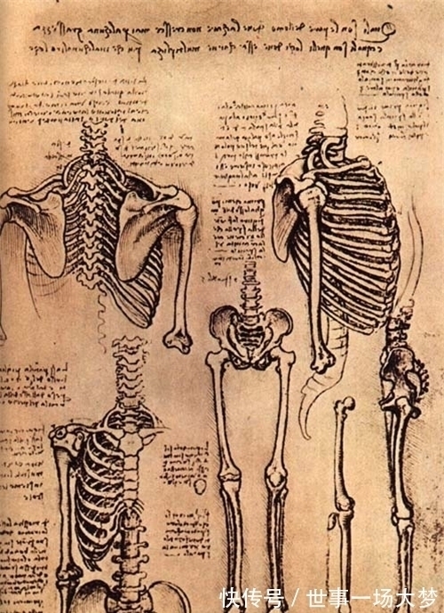 日心@达芬奇为何被质疑是穿越者?你看他当年的手稿有多超前,就明白了