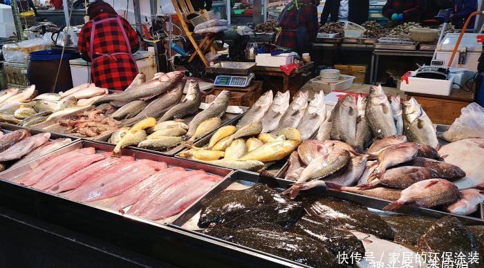 人人|冬天遇到此鱼别手软,肉厚无刺营养高,无法人工养殖,人人吃得起