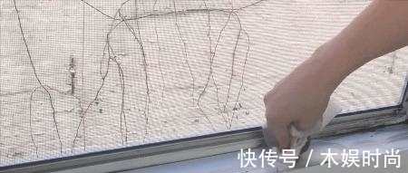 地板|教你最省心的年末大扫除方法，春节让房间焕然如新