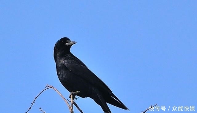 不要觉得惊讶哟，这就是日本和中国生活习惯的不同