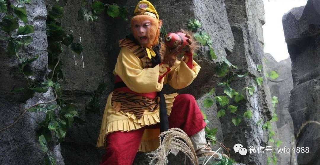 树精&孙悟空打死过6个树精,把它们名字连起来,你会发现一个神秘规律