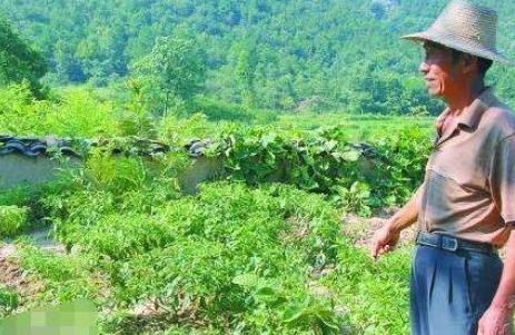 母亲|中国第一懒人:走路怕累吃饭靠喂,23年不干活,父母走后饿死家中