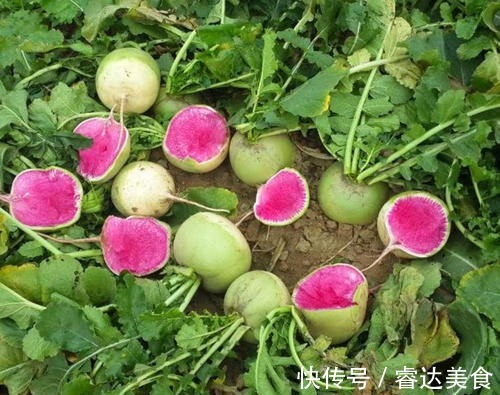 个子|补钙是西红柿的8倍，价钱却便宜很多，多给孩子吃，个子往上窜