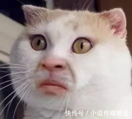 石材|50款电视背景墙, 解决你的选择困难症!