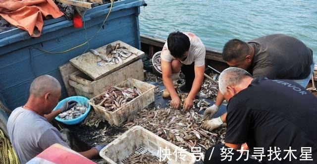 个头|5个上海人到青岛旅游，点了5个海鲜，服务员再三确认，上菜后愣了！