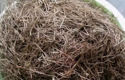 养好花的前提是让养花土变得更疏松肥沃，但该怎么操作？