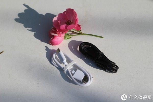 词典笔|小树爸爸的测评 篇六十八：千元价位词典笔怎么买？——阿尔法蛋T10vs网易有道3.0