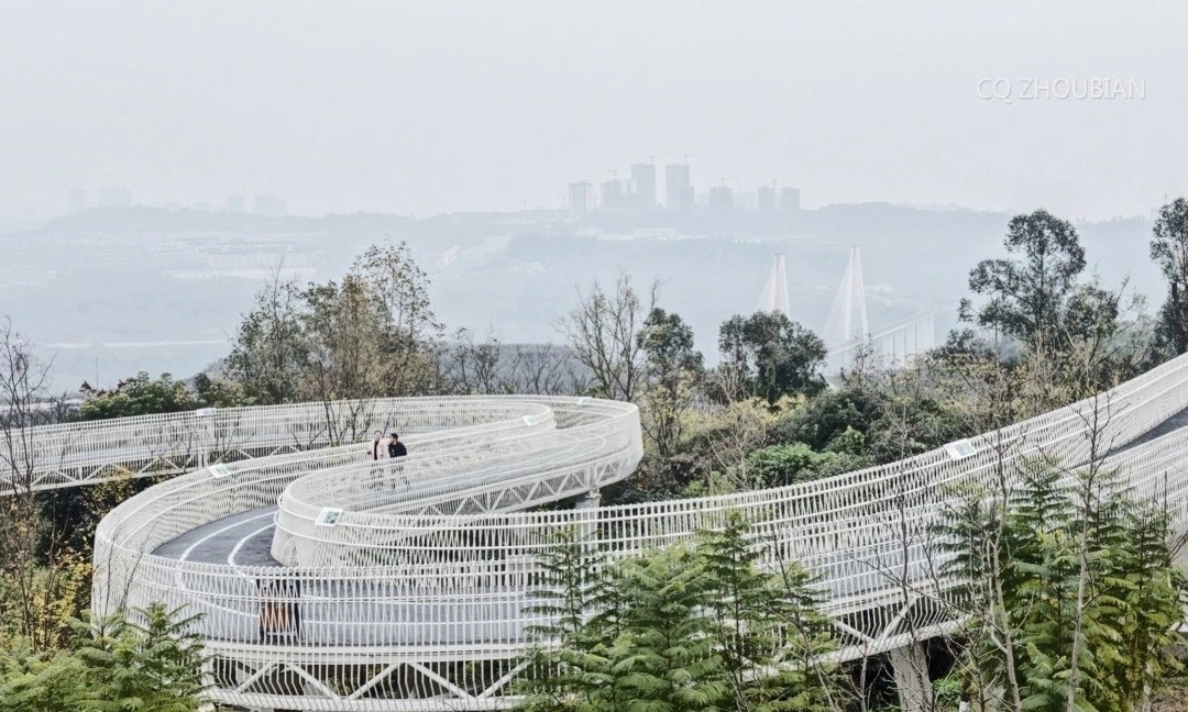 观景台|地铁6号线直达，打卡网红粉黛草花海，不要门票