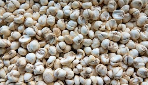 乳腺增生|甲状腺、乳腺结节的根源在哪?中药如何调理?这一篇都为你讲明白