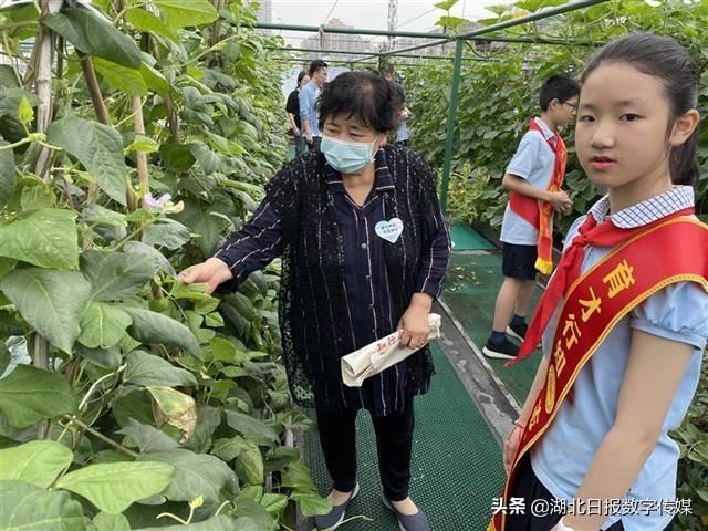 儿童节|知农事 体农情 惜农食“行知小农夫”喜迎丰收的儿童节