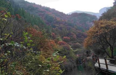 山东耗巨资的景区，被称“盗版泰山”，门票110是“北方霸主”！