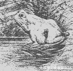 老年痴呆症|老年痴呆测试：6道问题若能全对，恭喜你离痴呆还很远，敢试试？