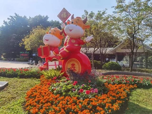 中年|2000平方米花展！流花湖公园11组主题景观华丽亮相