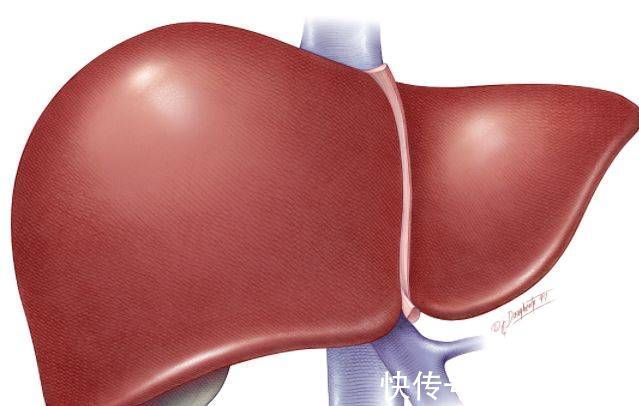 心脑血管|每天喝三两白酒的人,和滴酒不沾的人,哪一个人身体更健康?