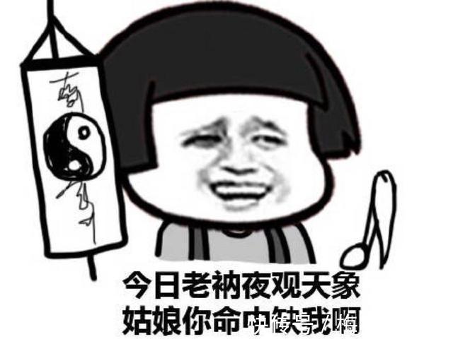 |十条段子:爱河伤心难过,大鹅暖心抗饿