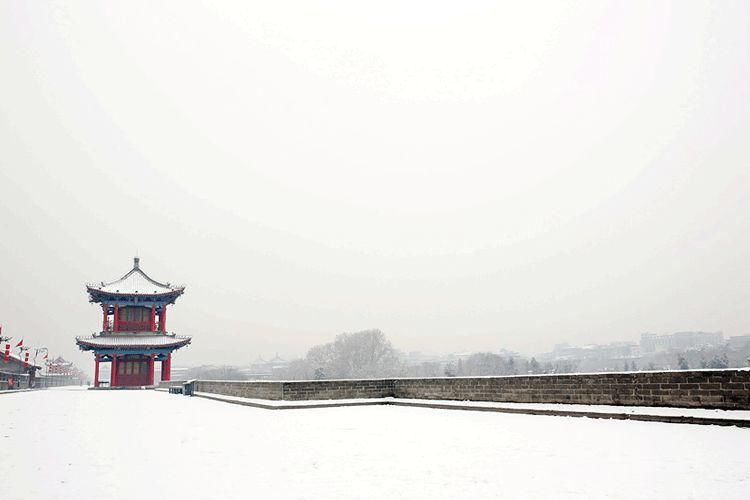  白头|大雪┃岁月可回首，深情共白头