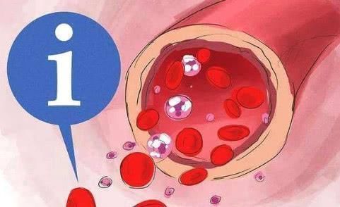 降脂|不想血管被堵死， 这些食物要常吃，清理血管垃圾，降压又降脂