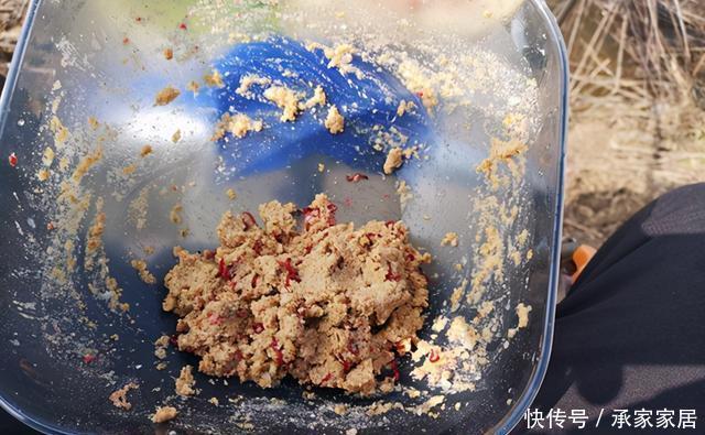 活饵|冬季野钓大鲫鱼,活饵更给力,如果蚯蚓不上鱼,还可以试试这两种