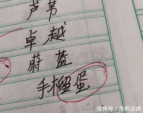 小学生作业又火了，“手榴蛋”什么鬼，看到最后：笑出猪叫声！