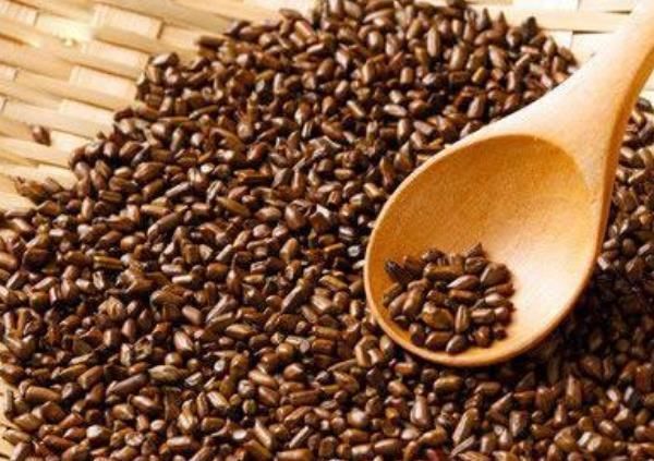 決明子和此物是絕配，常用來泡水喝，潤腸通便，大肚腩不見了