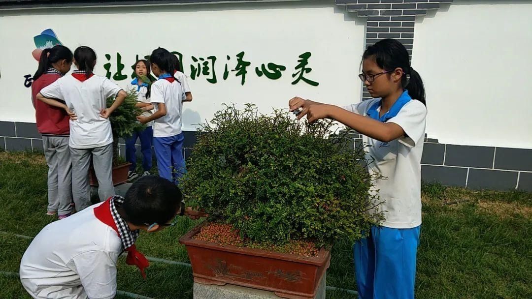 寓教于乐|【志愿服务我先行】小丰营小学：寓教于乐 服务社会