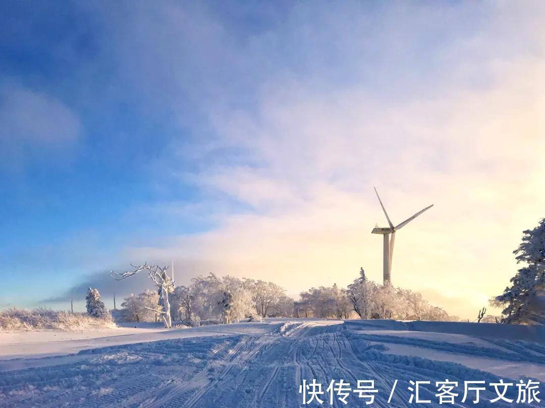 极北之地|首金冠军的家乡,极北之地,这个又美又刚的地方值得上一次热搜!