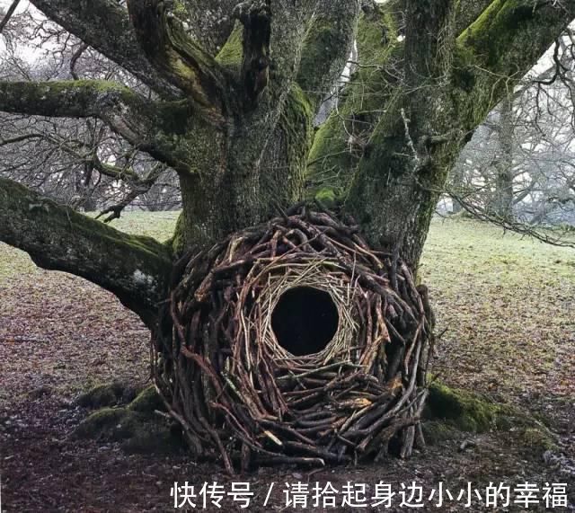 艺术家|他用最简单的树叶、石头、羽毛,建了一座美到极致的自然美术馆