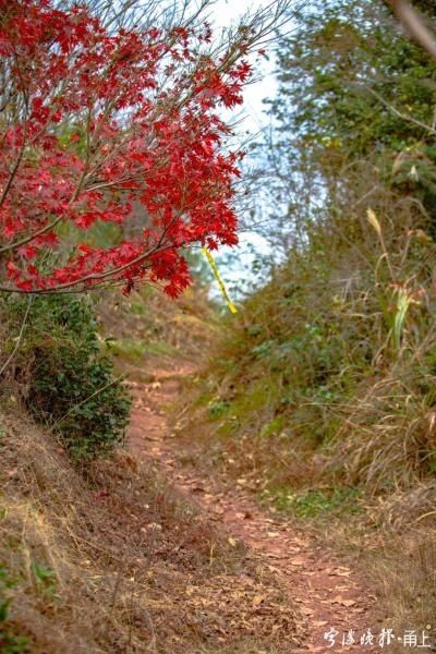 宁波|不要门票！宁波这里竟藏着一座“火焰山”